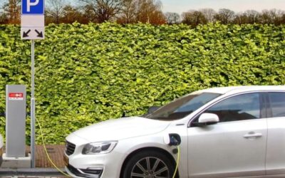 Transporte sostenible: el compromiso ecológico de Bergatrans